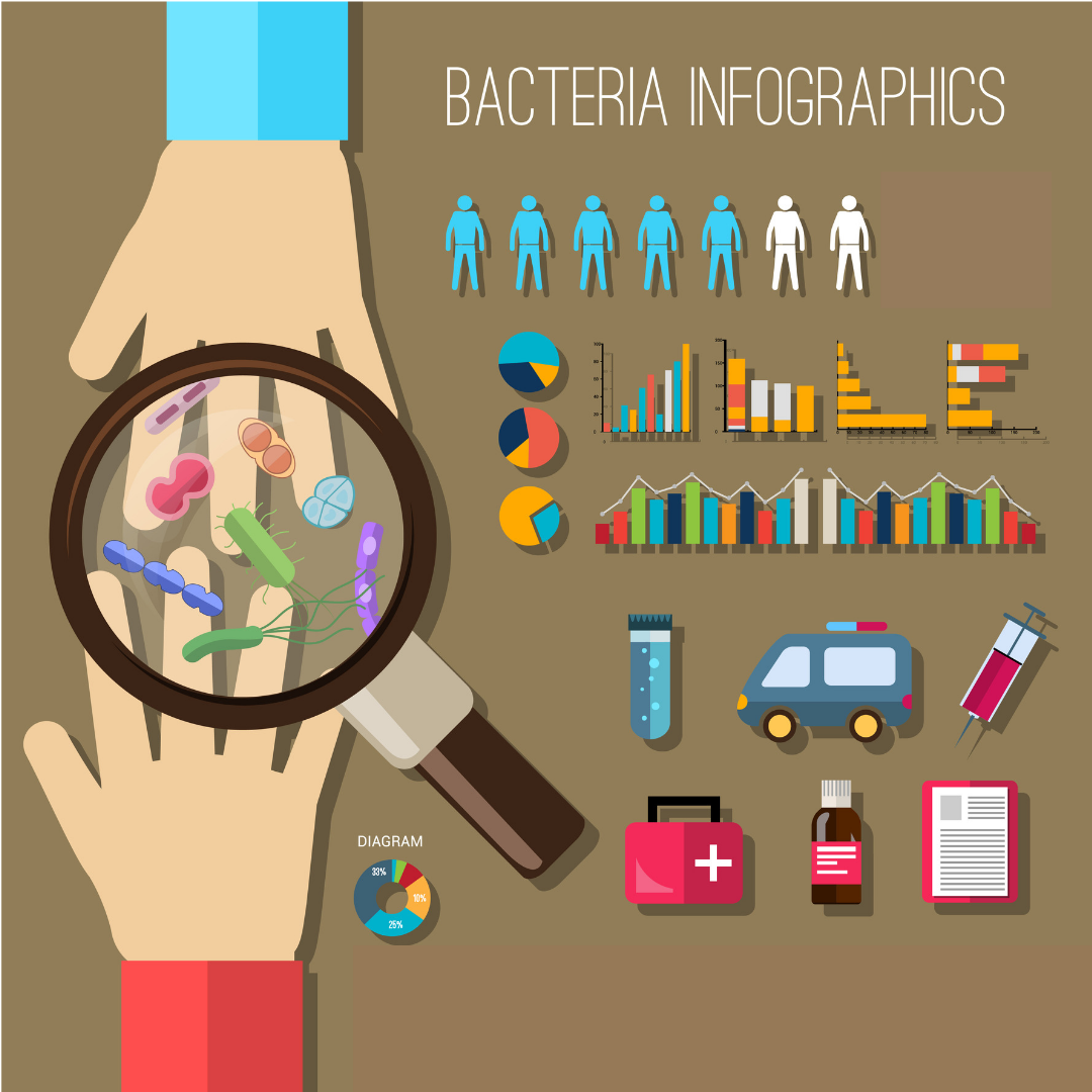 Examining The Antimicrobial Properties of Copper